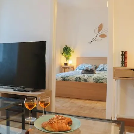 Le Cocon Fleuri, Proche Centre Apartment Mulhouse Exterior photo