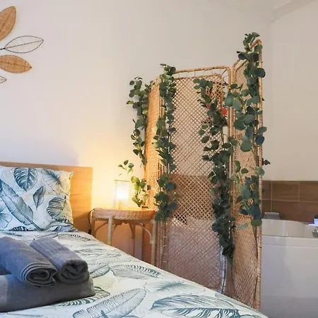Le Cocon Fleuri, Proche Centre Apartment Mulhouse Exterior photo