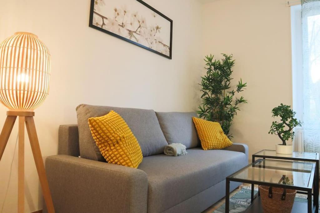 Le Cocon Fleuri, Proche Centre * Mülhausen
