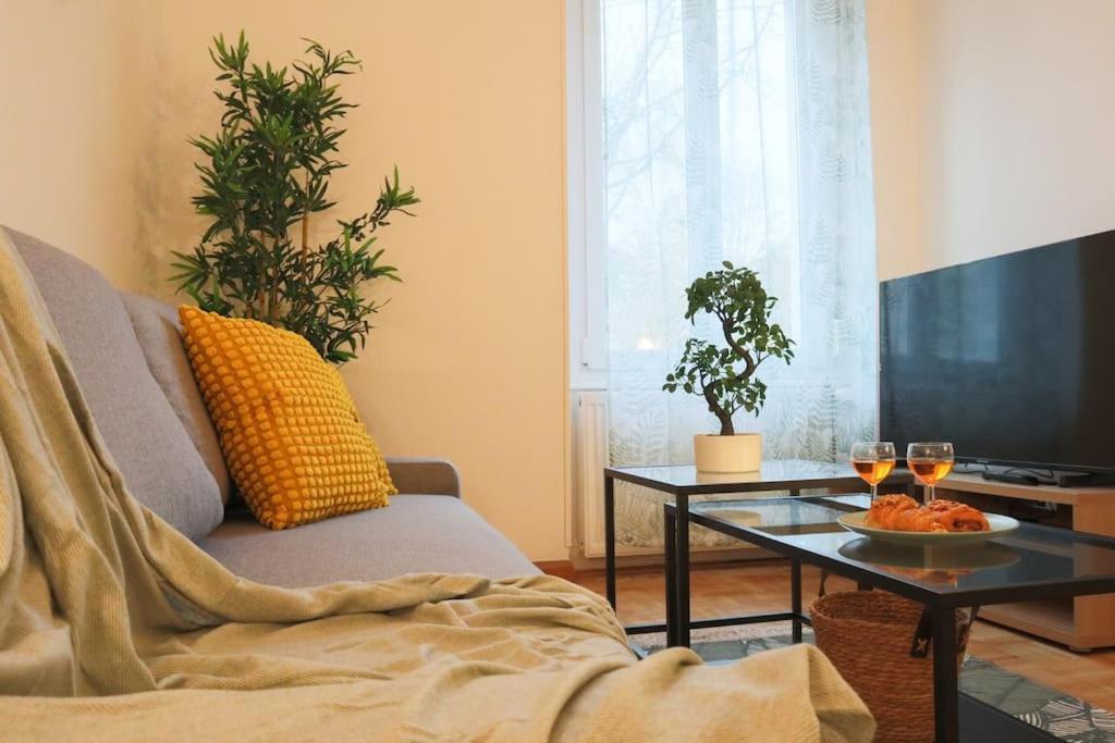 Le Cocon Fleuri, Proche Centre Apartment Mülhausen