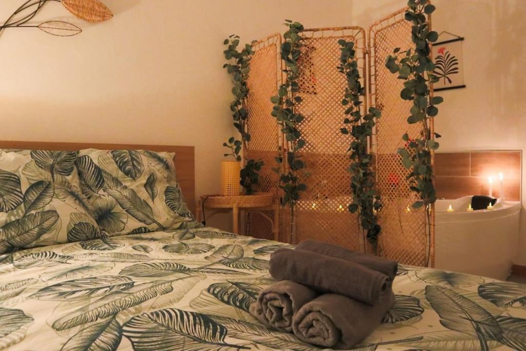 Le Cocon Fleuri, Proche Centre Apartment *