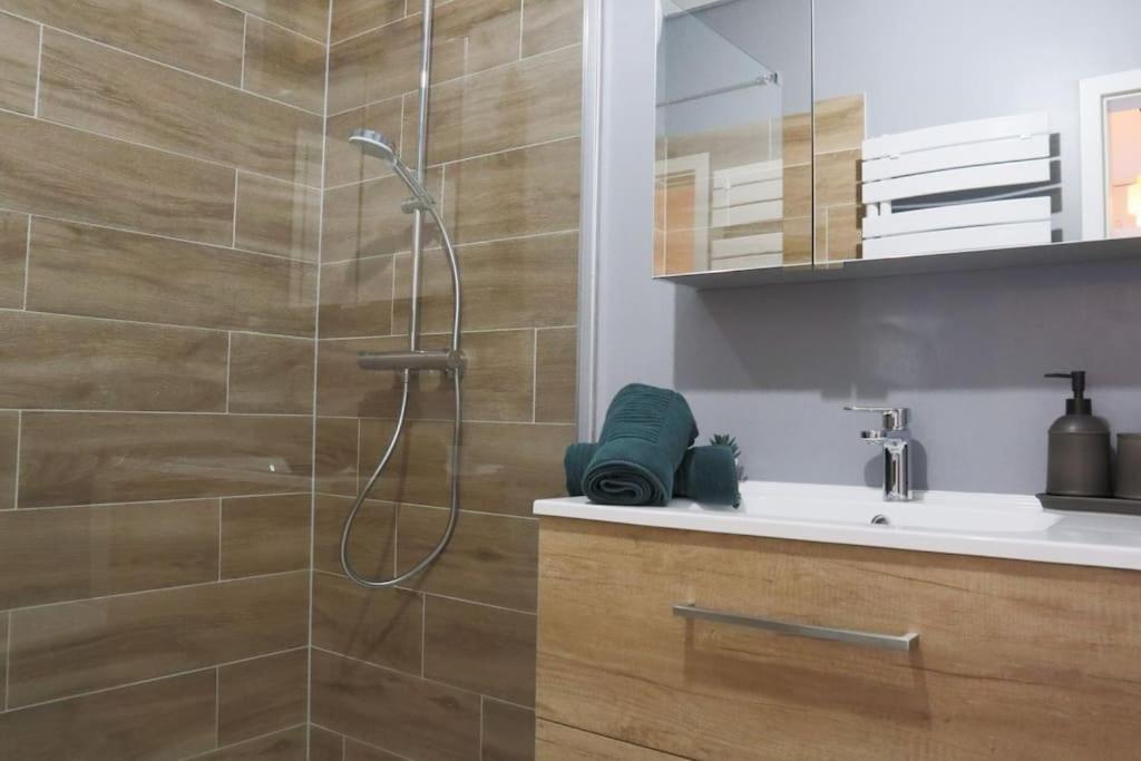 Le Cocon Fleuri, Proche Centre Apartment Mülhausen